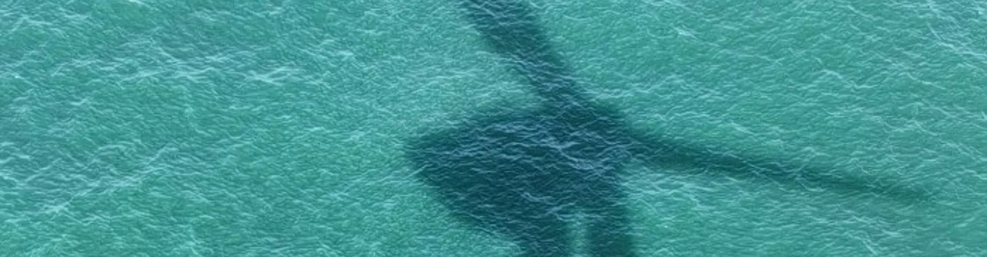 shadow of a wind turbine in the water